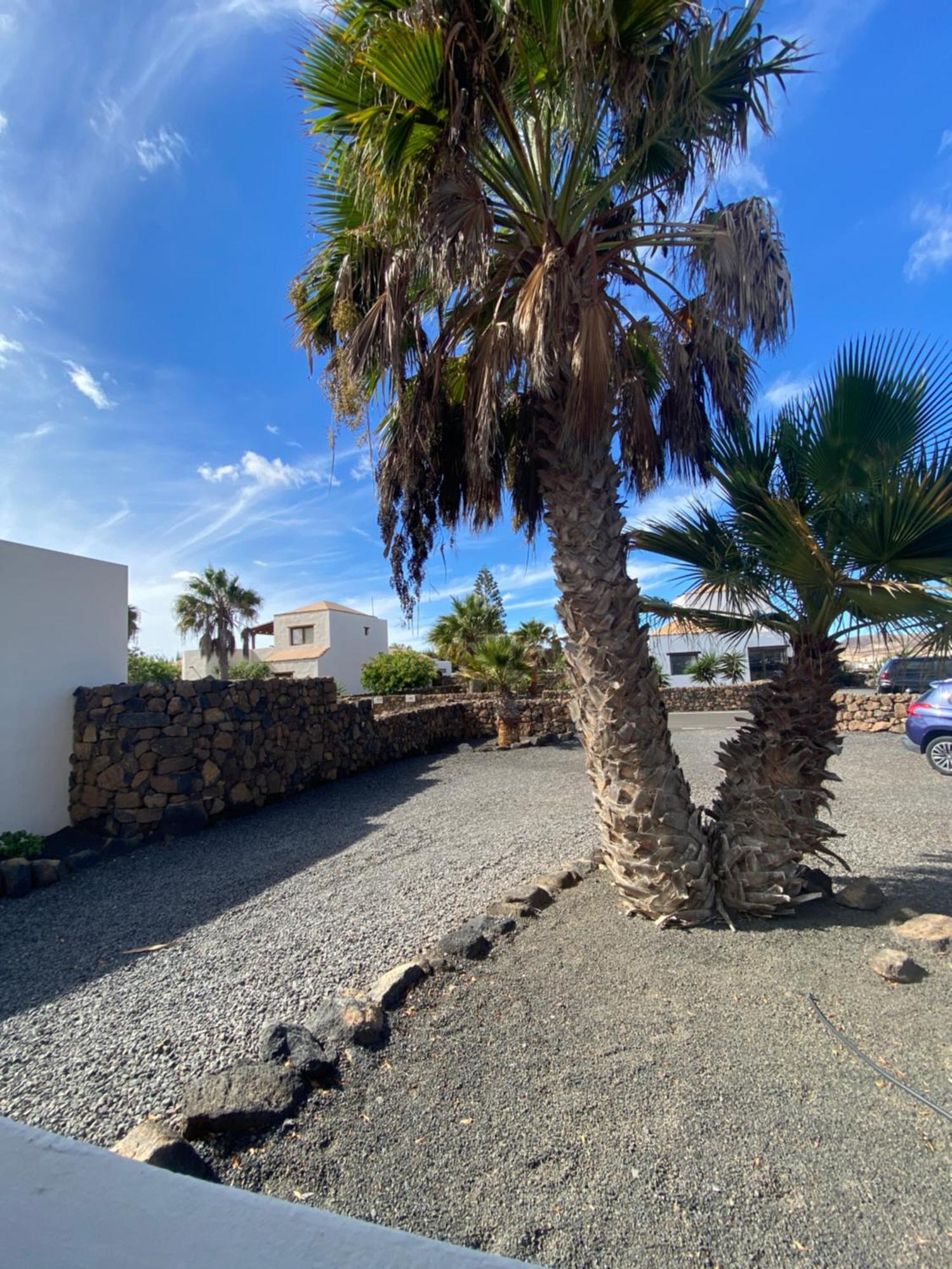 Villa De Suenos Lajares Eksteriør billede